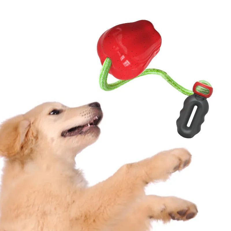 Green and red plastic squeaky apple dog toys with dropping ball design for dental care and interactive play