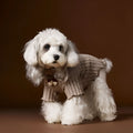 Small dog wearing a casual lace bow bottoming shirt in beige colour, side view