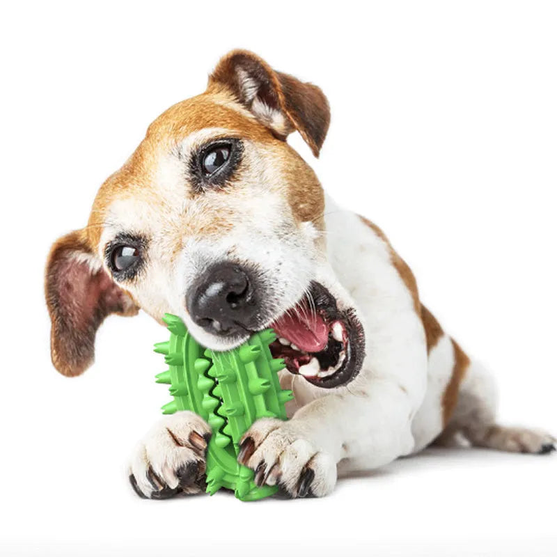 Green cactus-shaped dog chew toy for dental cleaning on a white background