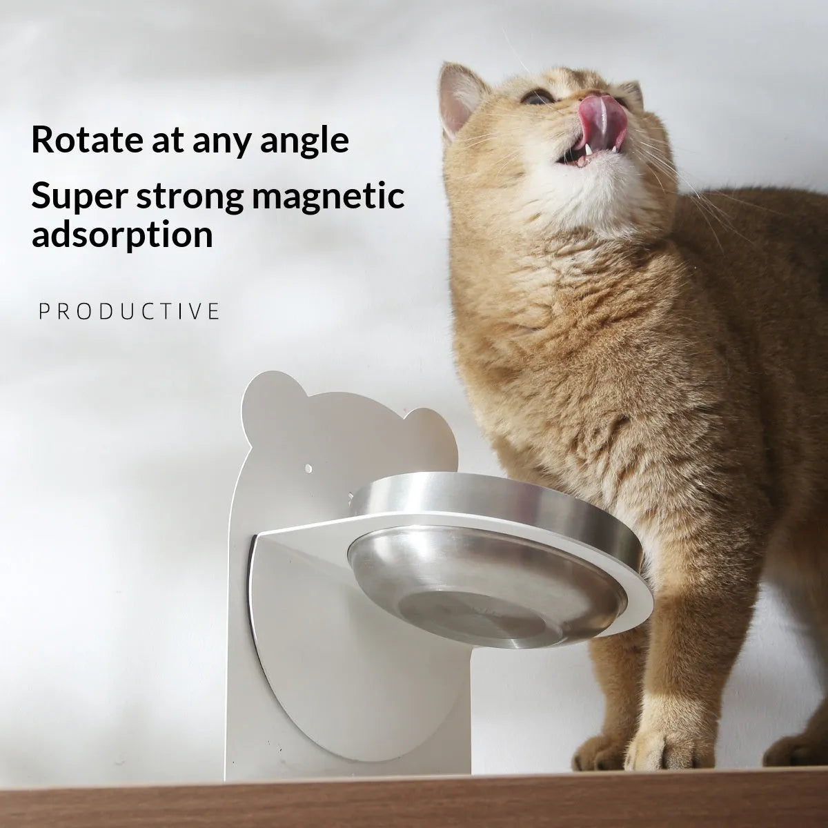 Inclined stainless steel cat feeding bowl on black magnetic stand with bear design