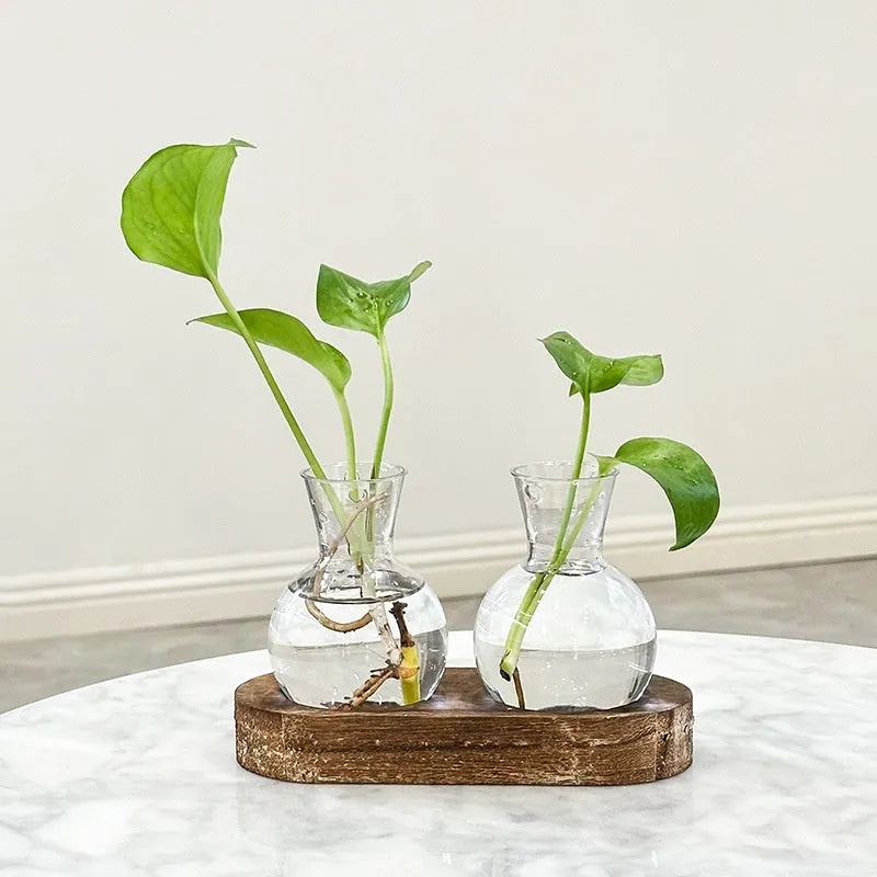 Wooden frame transparent hydroponic vase set with PET plastic vases in modern design