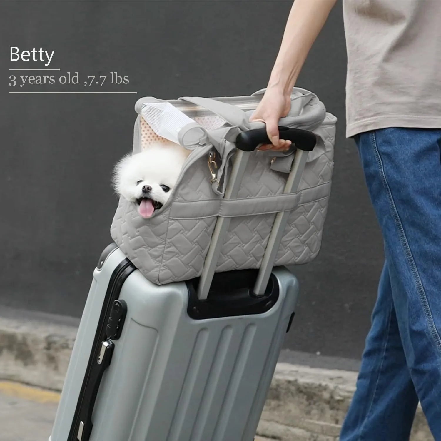 Grey pet carrier handbag with breathable mesh panels and multiple pockets for cat or small dog transport