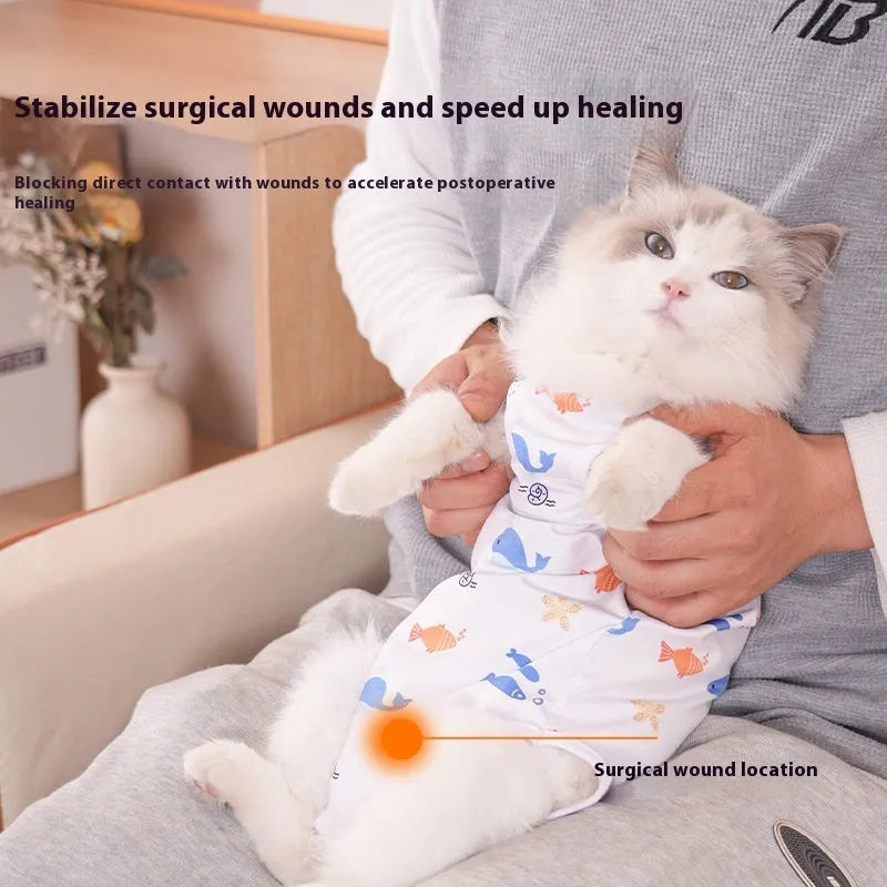 Cat wearing a soft polyester recovery suit after sterilisation surgery, showing hook-and-loop closure.