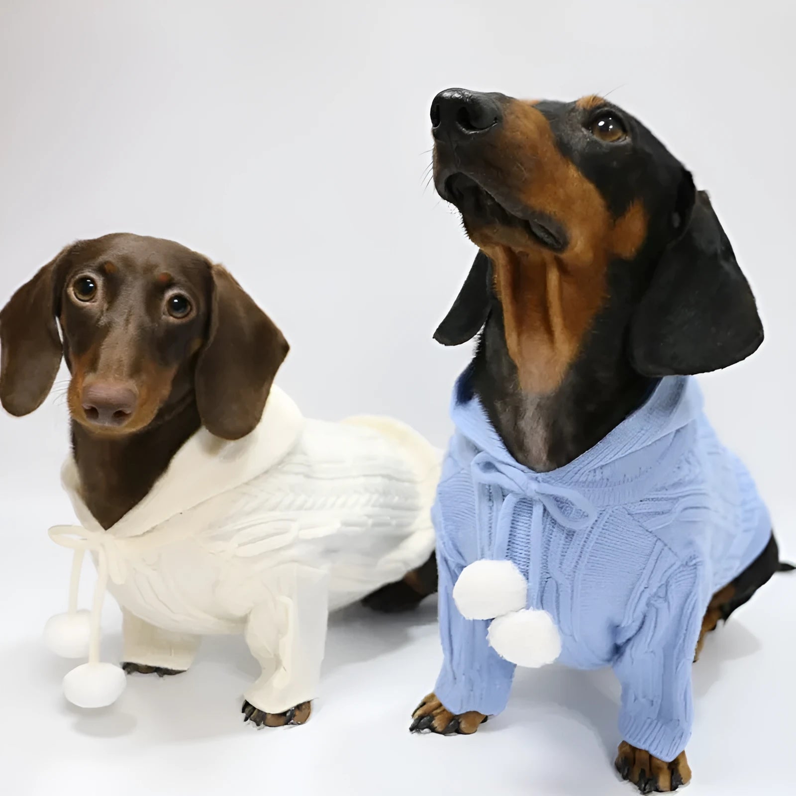 Two-leg hooded sweater for dogs in beige with hood and blended fabric