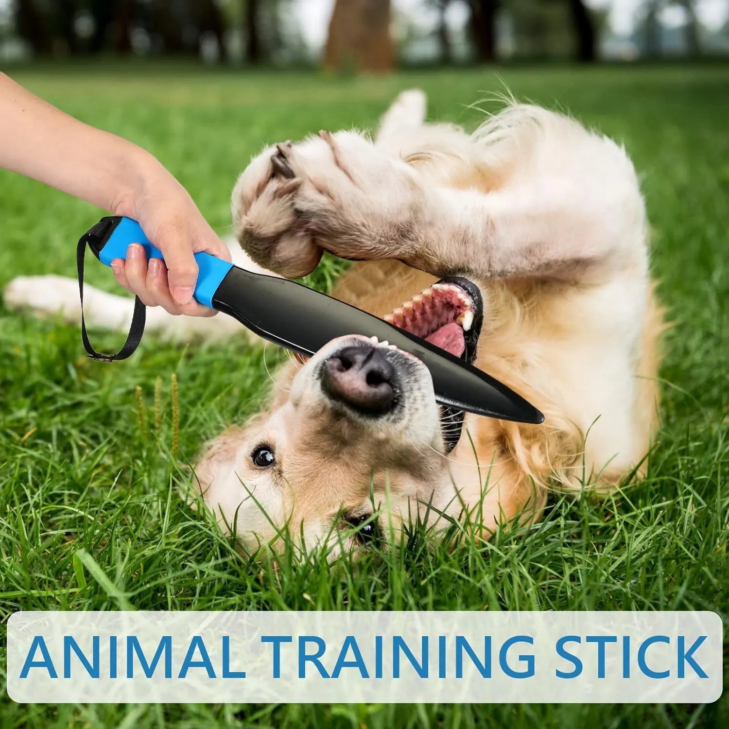 A blue-handled nylon dog break stick measuring 35 cm for training and play.