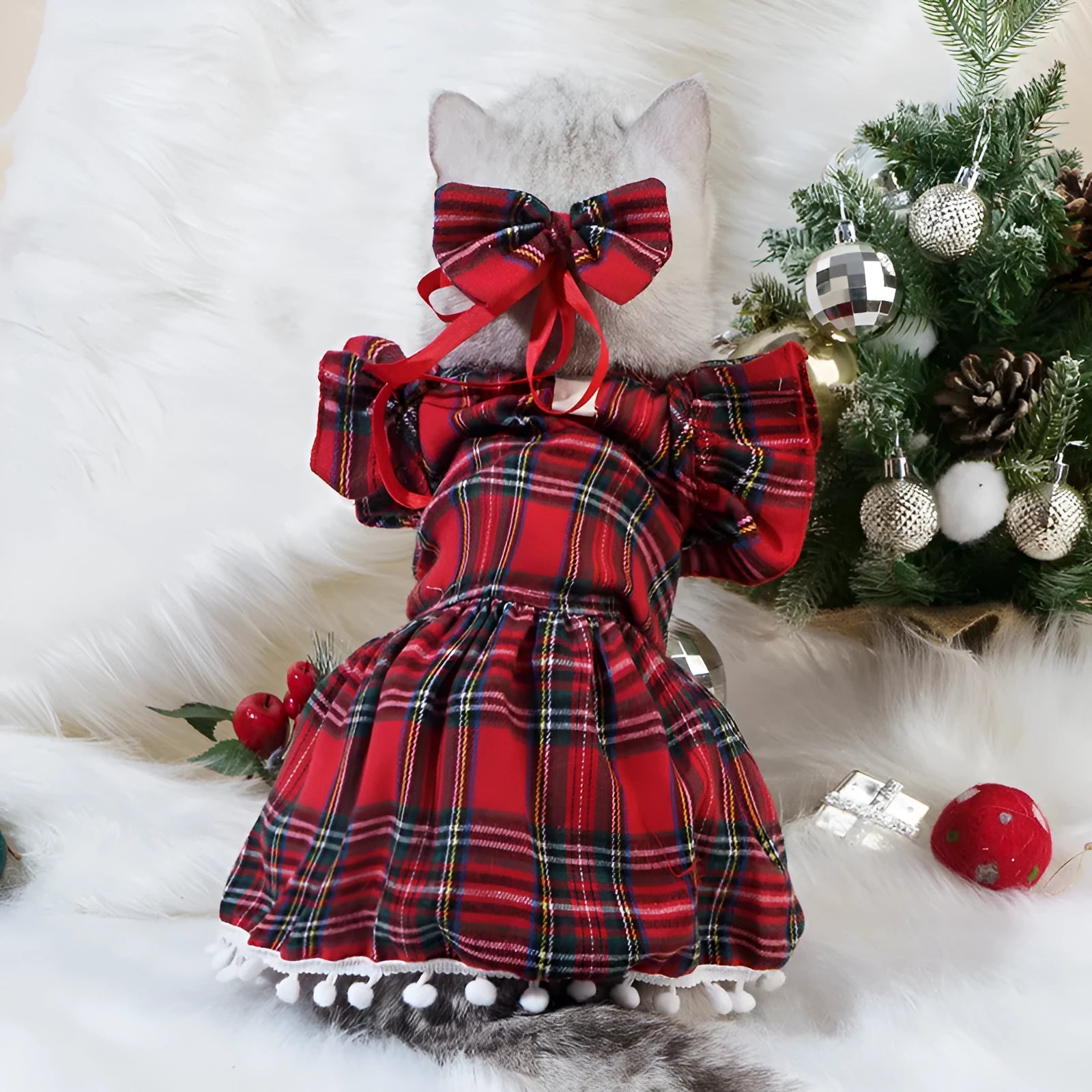 Red tartan Christmas skirt outfit with bow tie and head flower on a cat