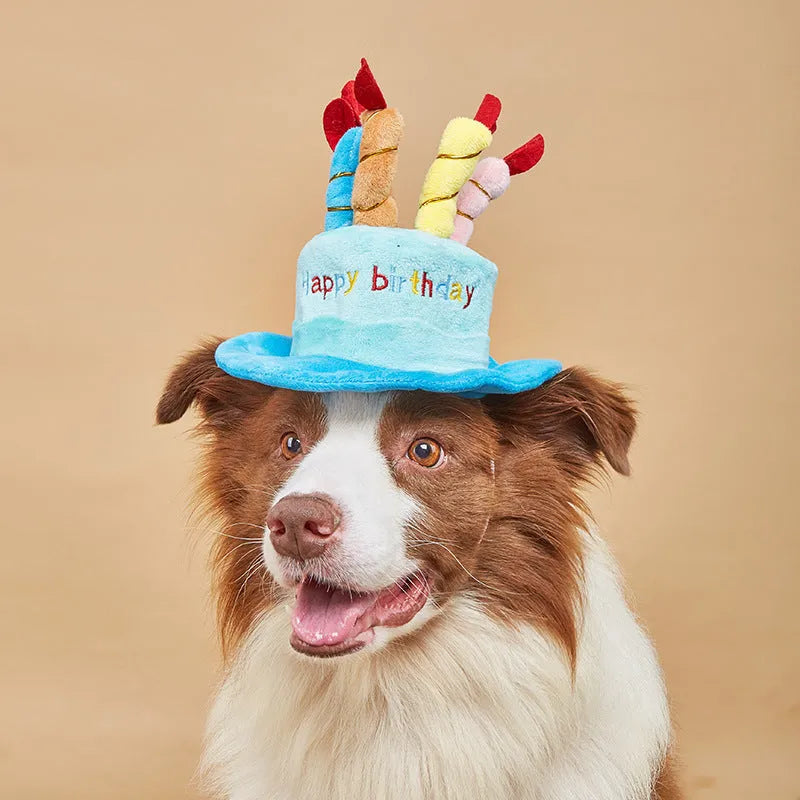 Blue and pink birthday hats for toy dogs with 21x15x6.5 cm dimensions
