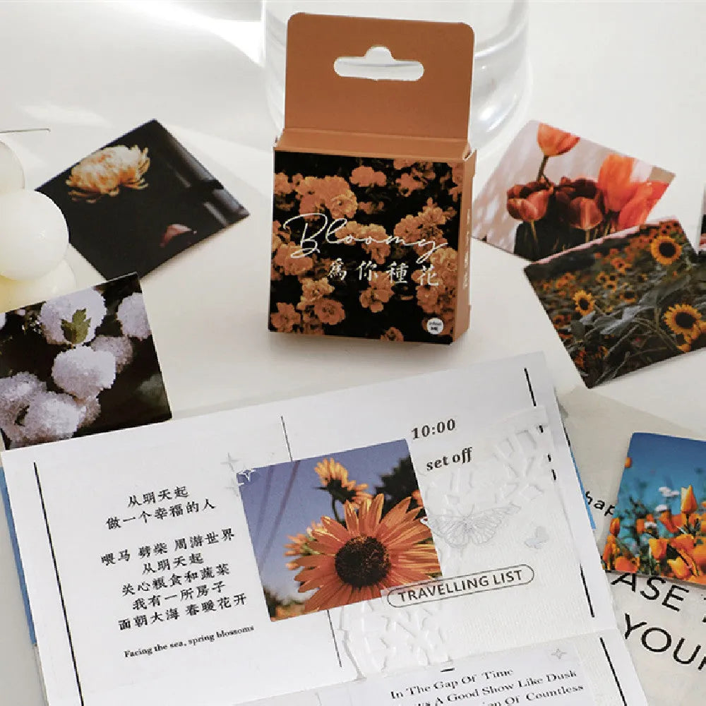 Nordic mountain and sea sunshine Y decorative sticker box containing 46 individual 44mm stickers