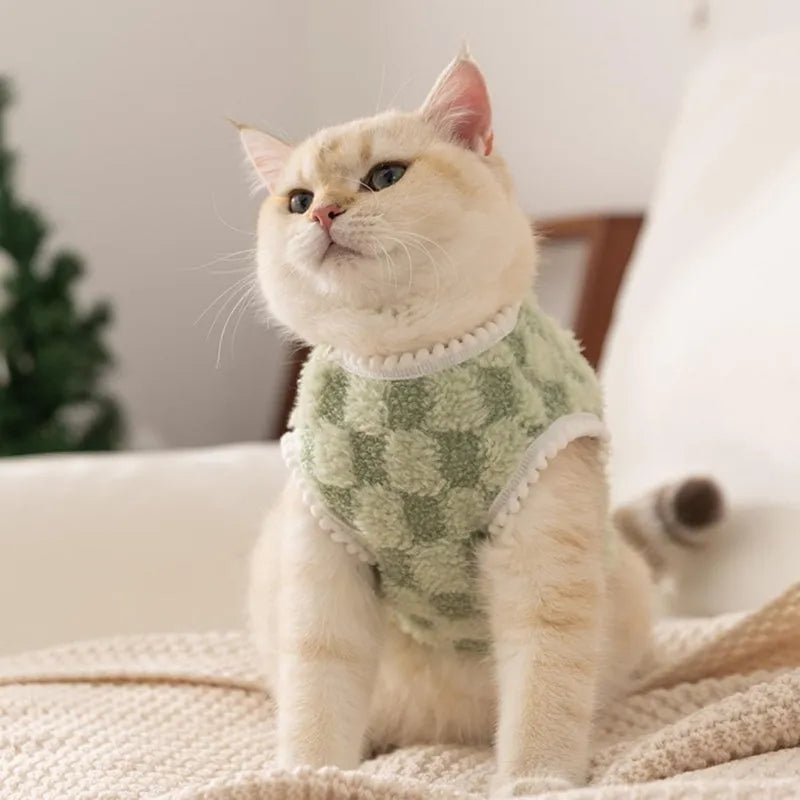 Korean autumn winter dog hoodie with cartoon bear design, green, for small medium pets