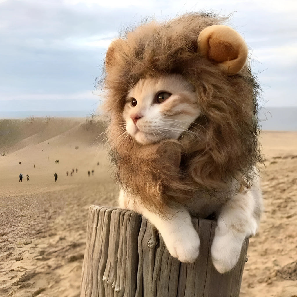 Lion mane wig for cats and small dogs with fluffy artificial hair and adjustable elastic band