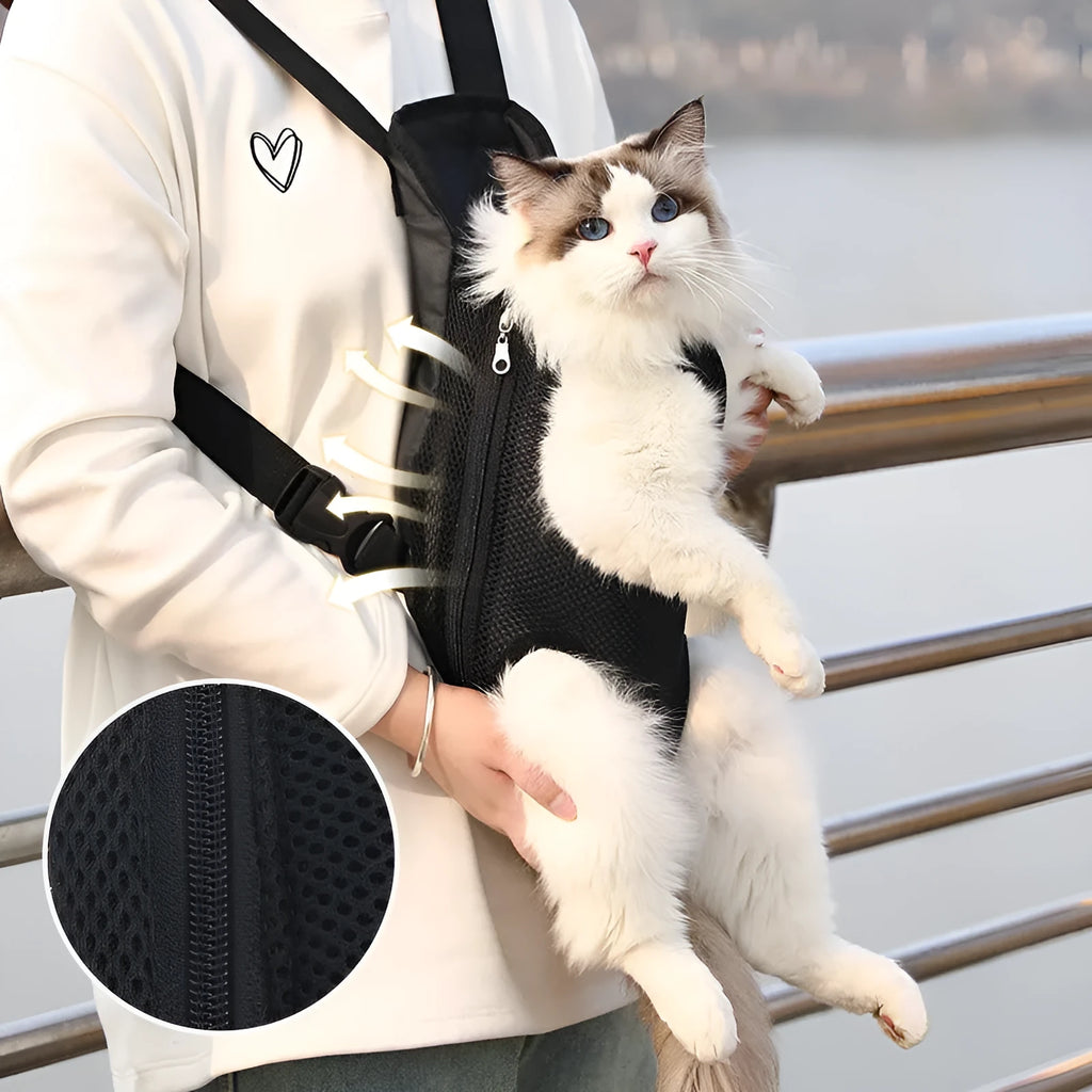 A person wearing an adjustable black nylon dog carrier backpack on their front, containing a small dog looking out.