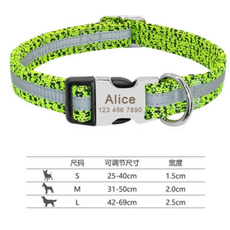Nylon dog collar in green with metal buckle on white background