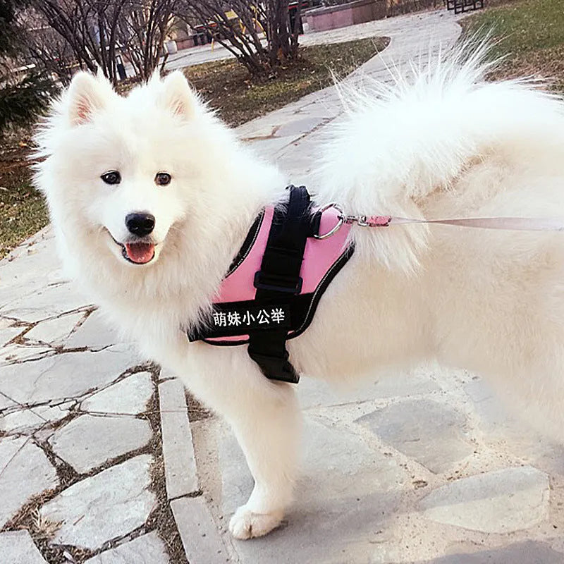 Nylon dog chest harness and leash set in red, with adjustable straps and traction rope on a white background