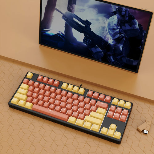 87-key wired mechanical keyboard with two-colour backlighting and hot-swappable switches
