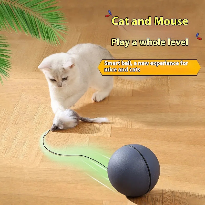 Automatic cat teasing ball toy with plush mouse in blue orange and dark grey colours