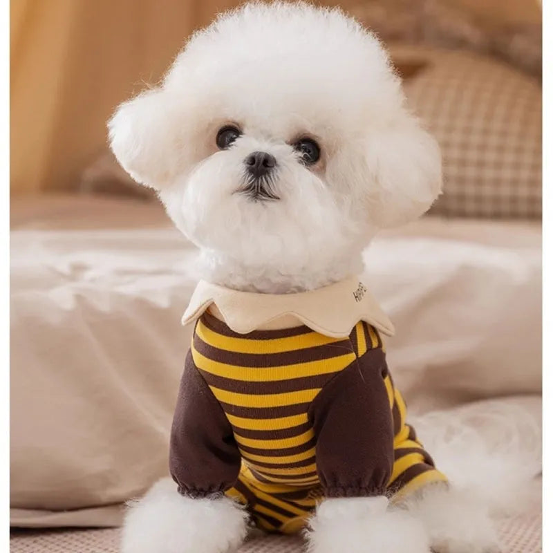 Yellow dog pajamas with bee pattern and lapel on small dog standing indoors