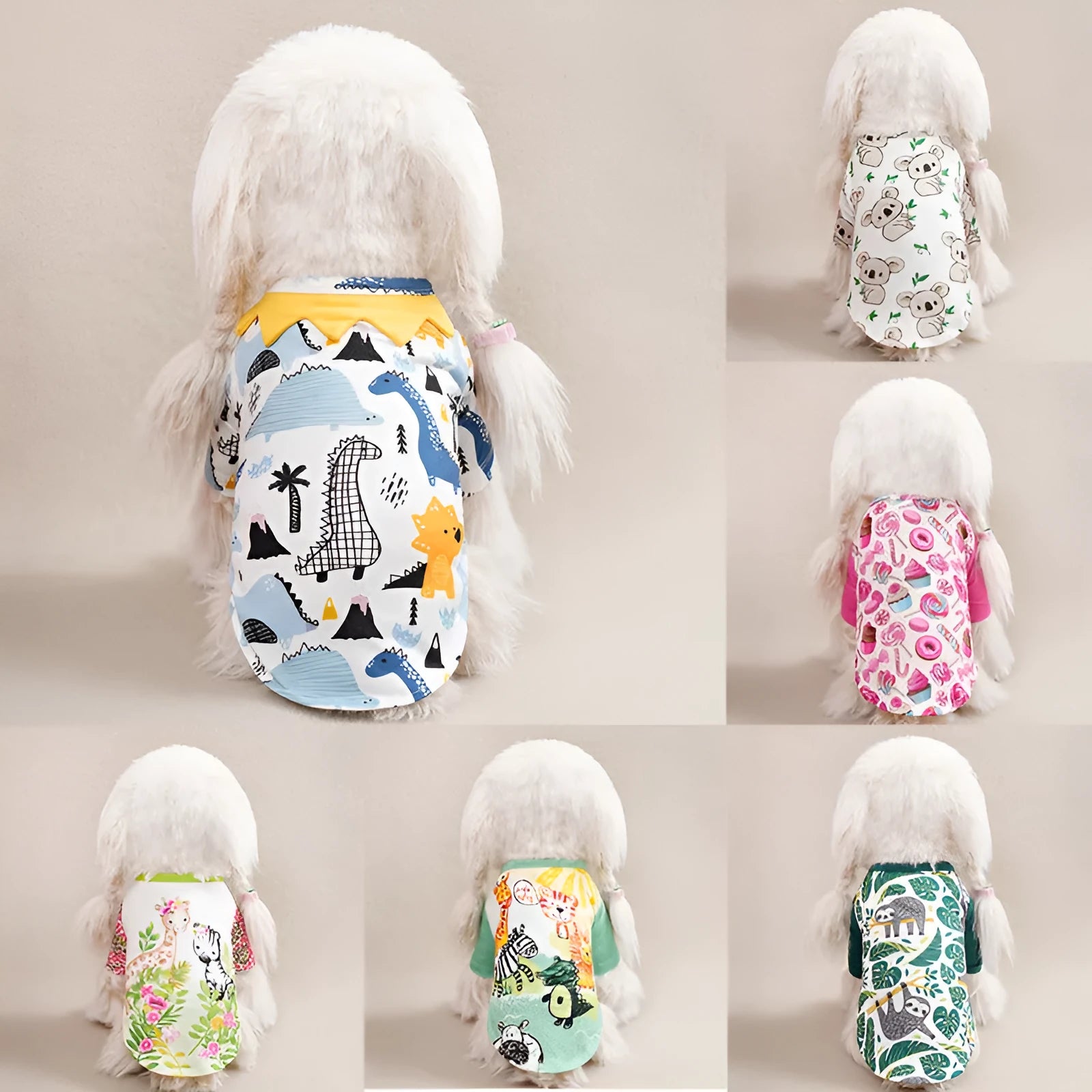 Colourful printed T-shirt on a small dog, showing the casual fit and full graphic design.