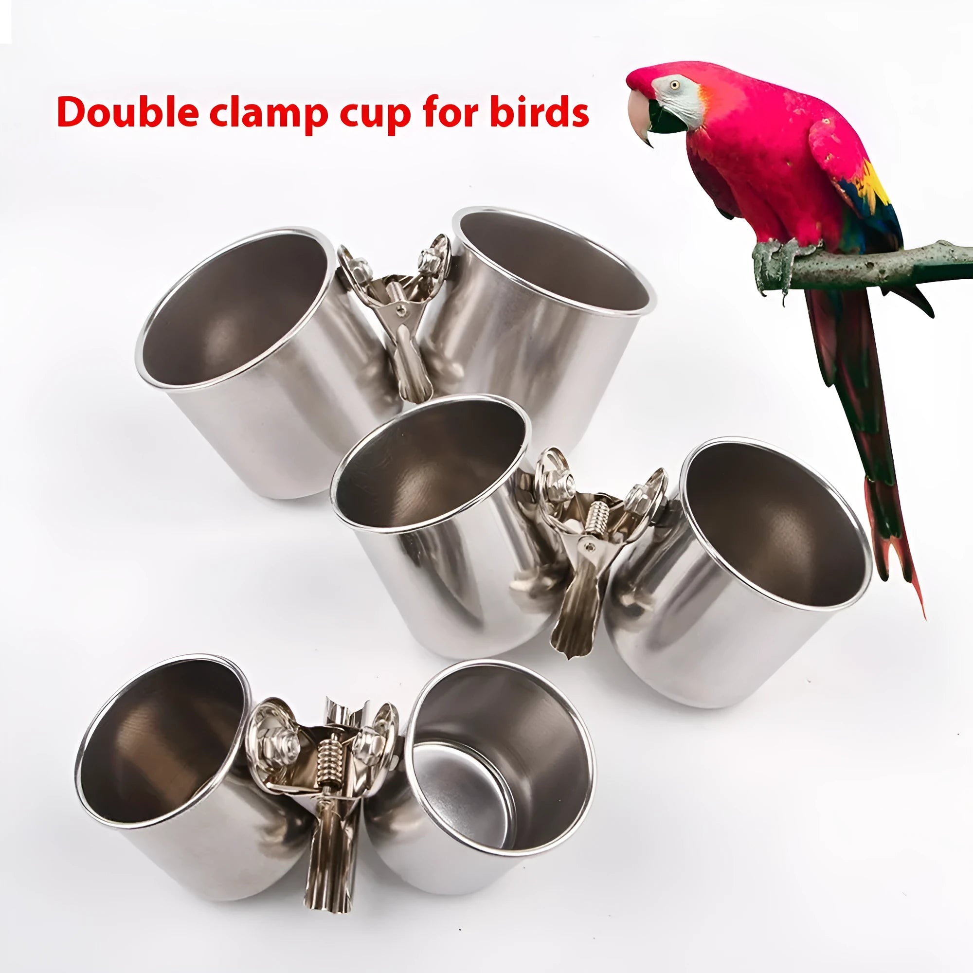 Stainless steel birdcage feeder in natural metallic colour for outdoor use with parrot