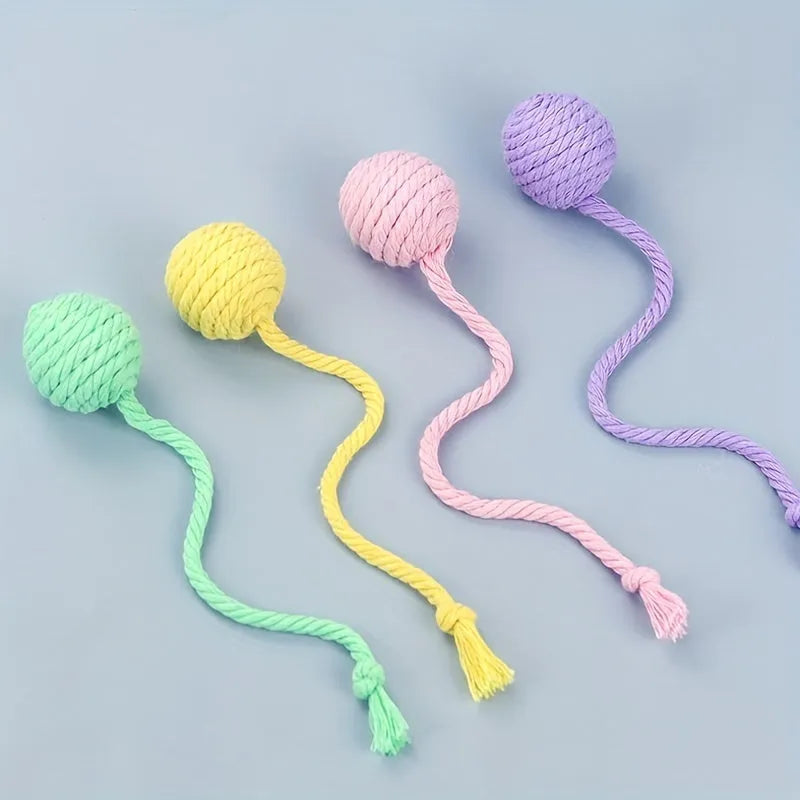 Cat toy ball with rope attachment and bell inside, shown in green, pink, purple, and yellow colour options