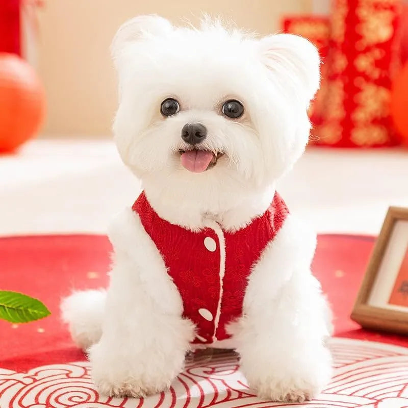 Red Chinese-style thermal cotton dog outfit for small breeds with festive New Year design