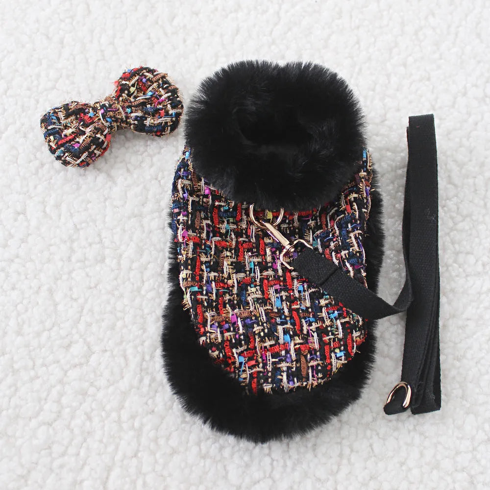 Dog wearing a decorative beret-style cloth cloak attached to a walking lead and chest strap harness.