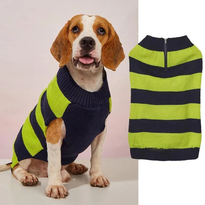 Small dog wearing acrylic sweater with horizontal front zipper and contrast colour detailing