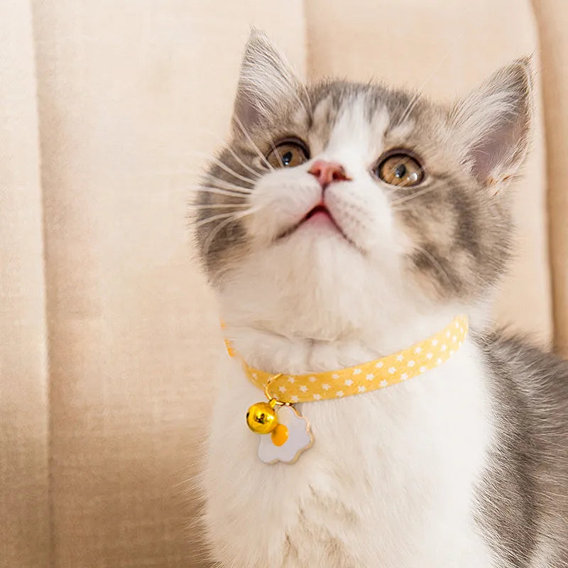 Adjustable green pet collar with a metal bell and a matching bow tie on a small dog.