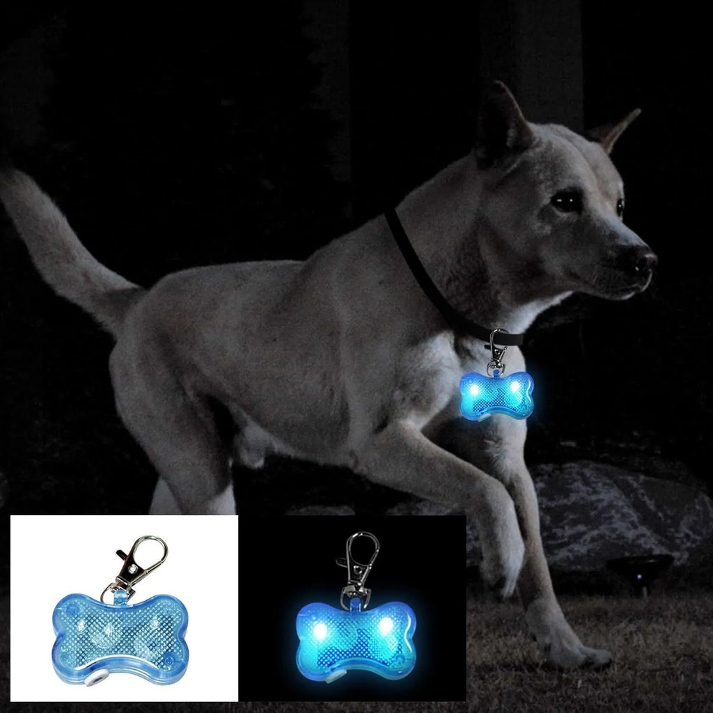 Blue bone-shaped LED glow pendant attached to a dog collar, showing flashing light.