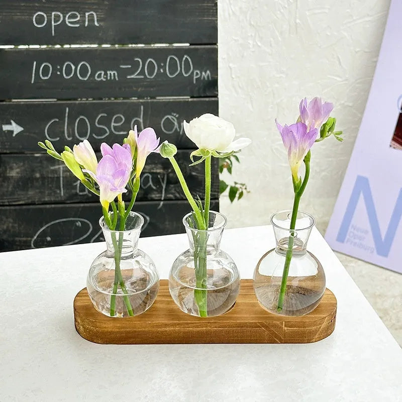 Wooden frame transparent hydroponic vase set with PET plastic vases in modern design