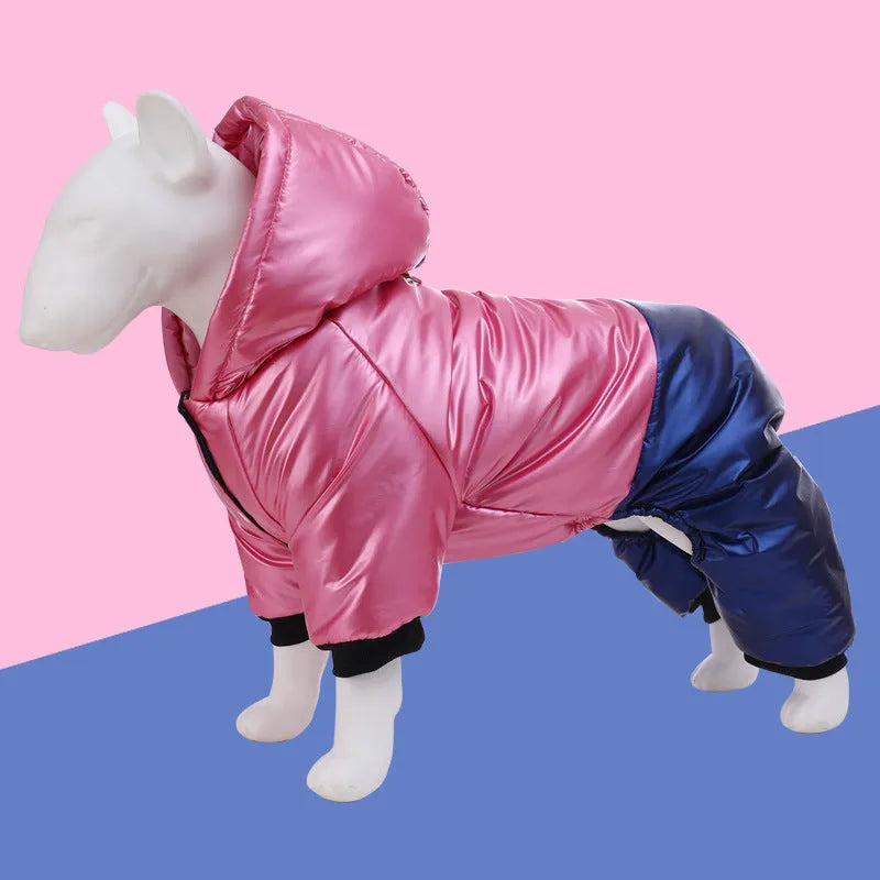 Green waterproof dog coat with cotton padding shown on a dog