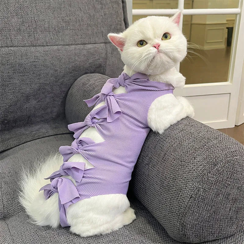 Lace-up cat sterilisation recovery suit in blue, shown on a cat, with back ties and tail hole visible.