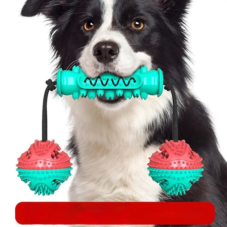 TPR dog chew stick toy with ball and serrated sections in Red and Blue, Blue, or Green