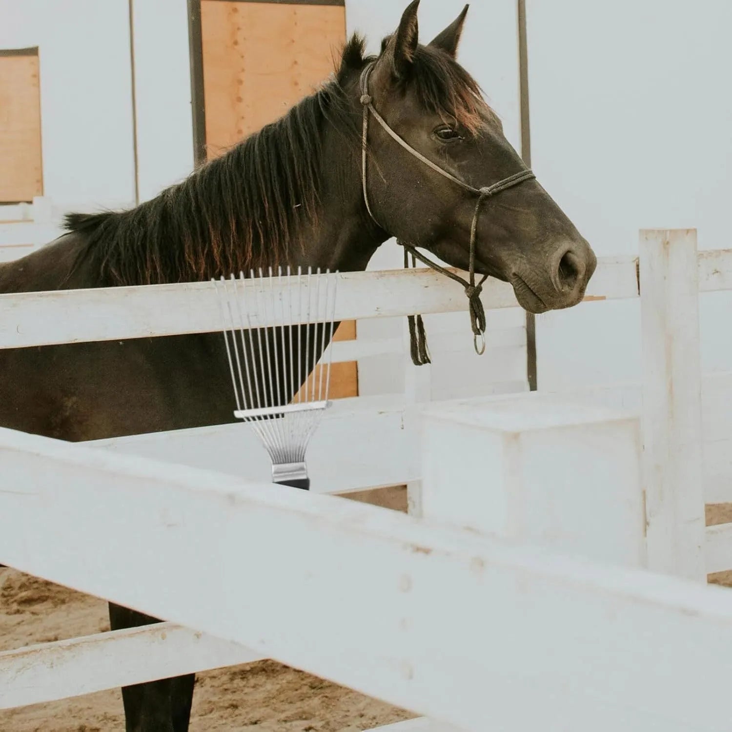 Stainless steel dematting brush and grooming rake for horses and pets on a wooden surface.