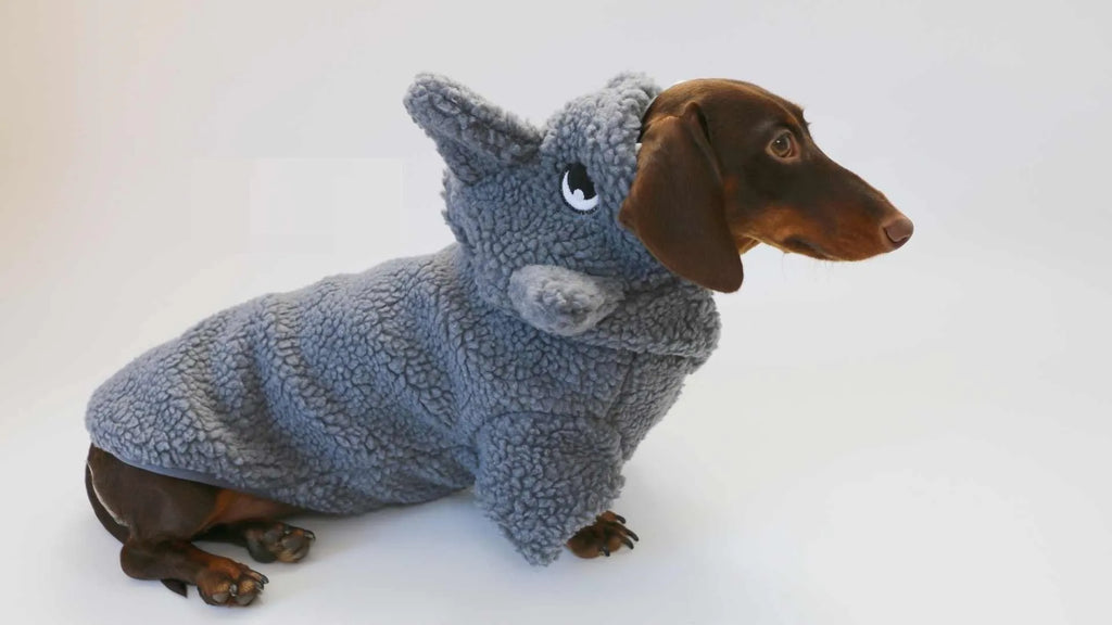 Grey shark fleece-lined hooded pet sweater for small dogs and cats on a plain background