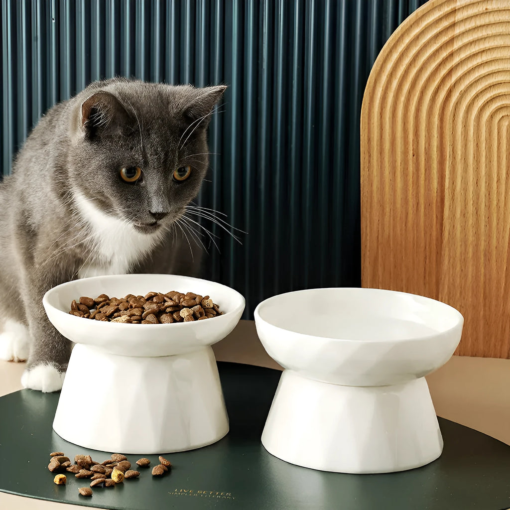 Ceramic tall cat bowl in neutral colour with raised design to protect spine during feeding
