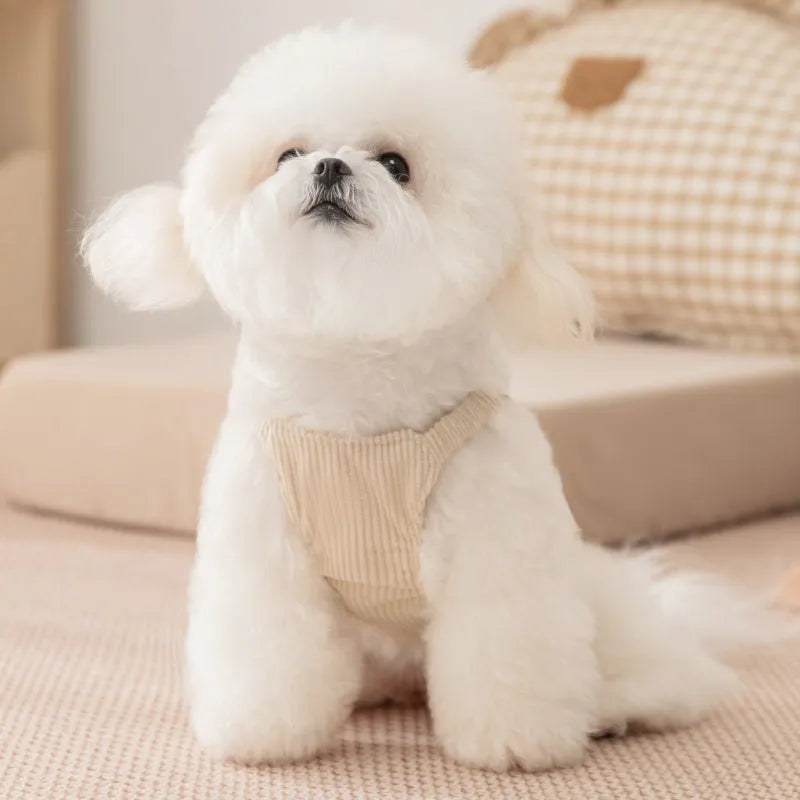 Brown corduroy pet vest with wool Sherpa collar on a small dog, halter design for easy wear