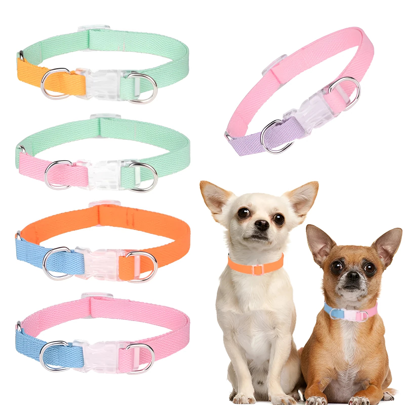 Polyester ribbon dog collar and leash set in coordinating colours with adjustable sizing