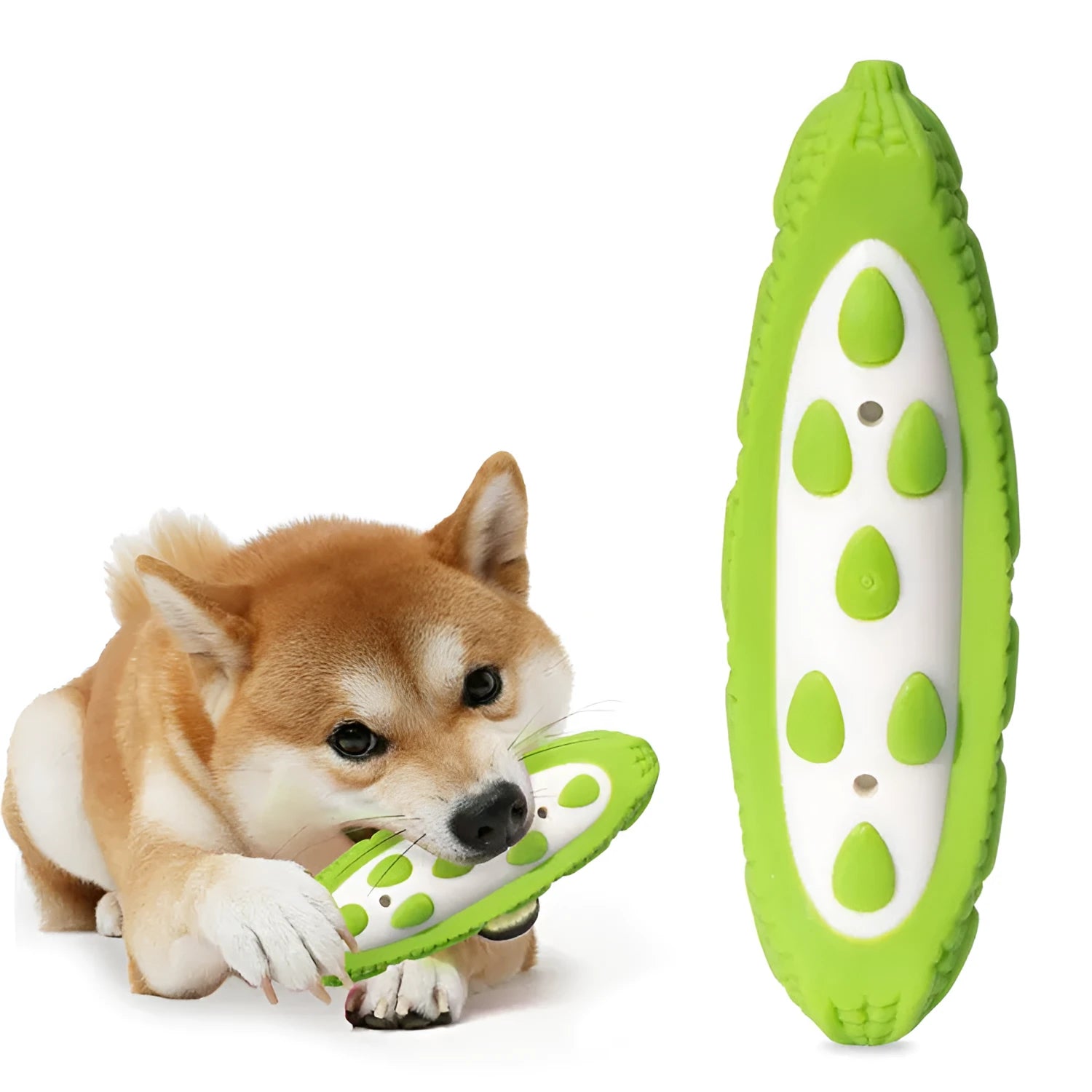 Green and purple simulation dog chew toys for large dogs and teething puppies