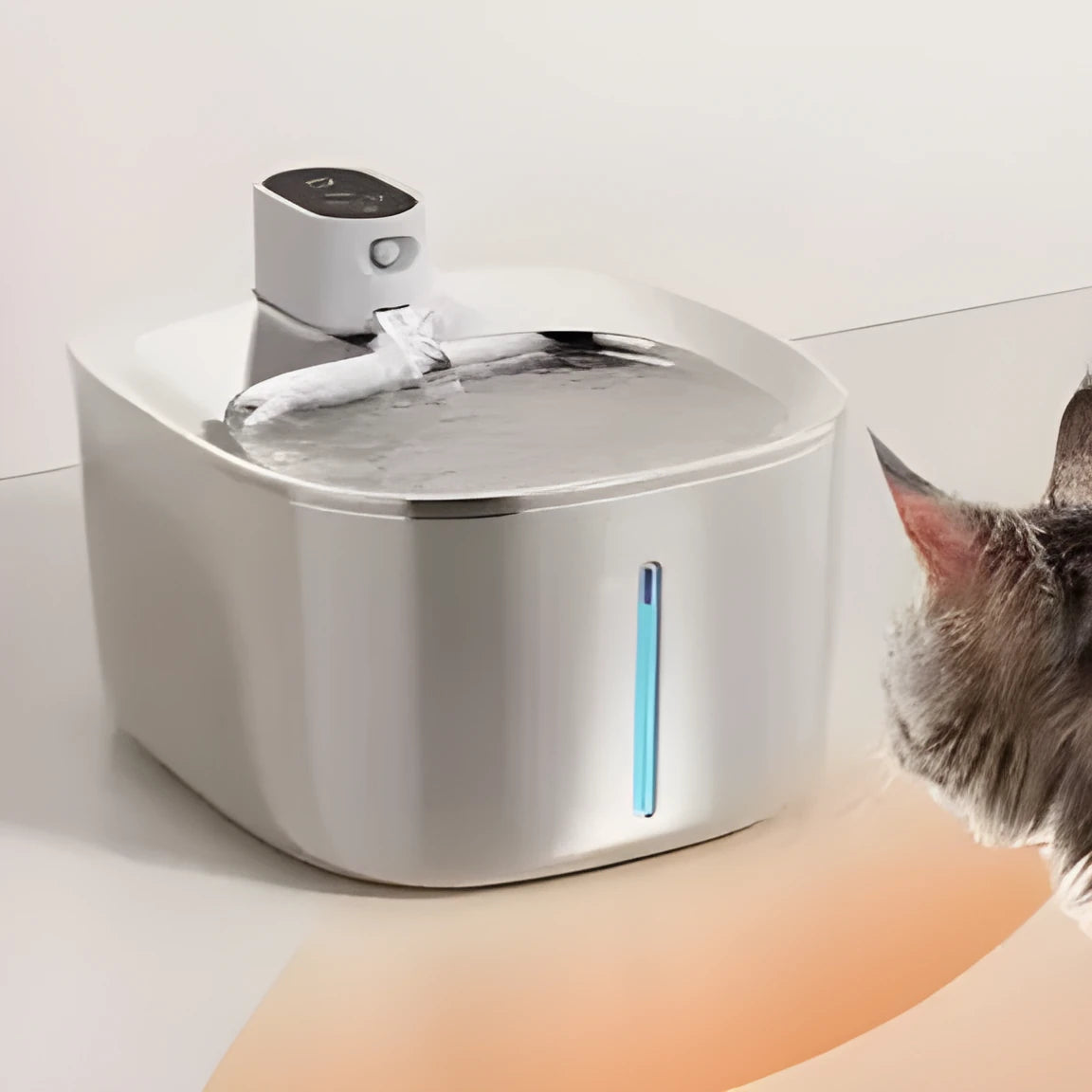 Large-capacity stainless steel intelligent circulating water pet water fountain for cats