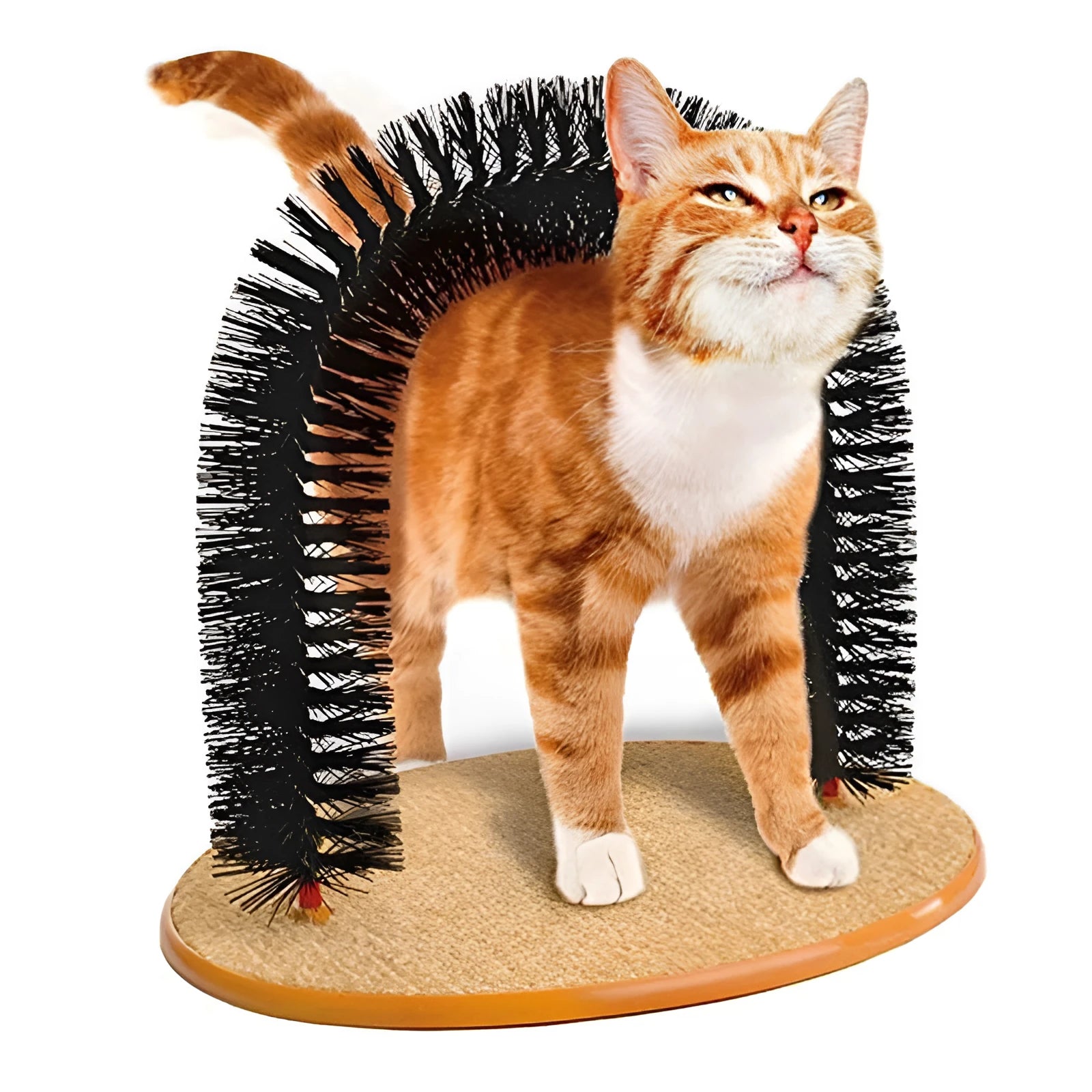 White plastic arched cat grooming station with built-in brush bristles for scratching.