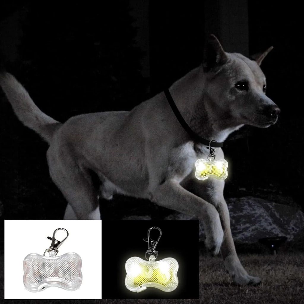 Blue bone-shaped LED glow pendant attached to a dog collar, showing flashing light.