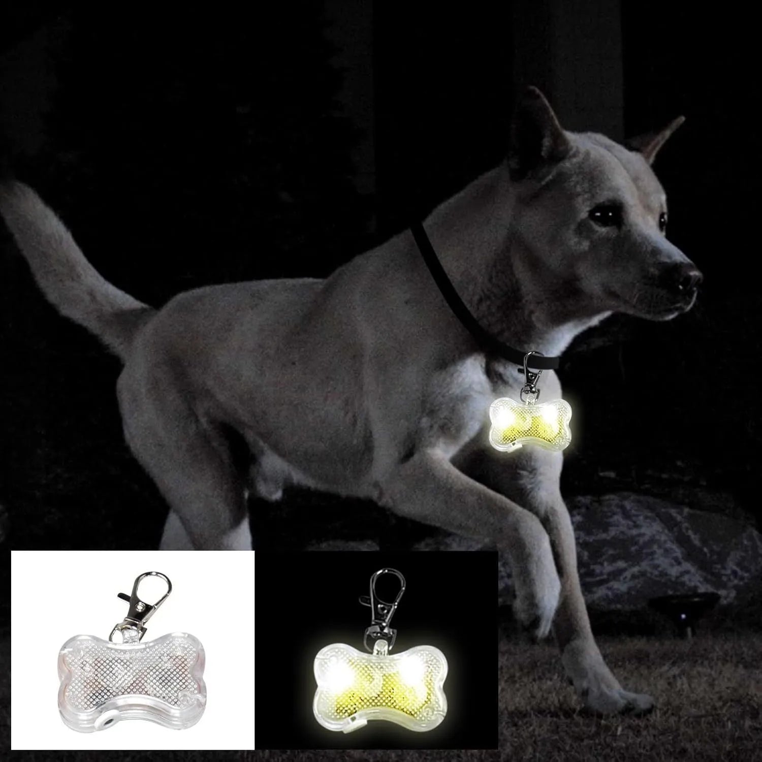 Blue bone-shaped LED glow pendant attached to a dog collar, showing flashing light.