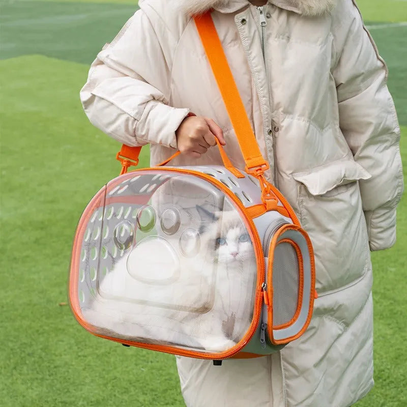 Large transparent hard-shell EVA cat backpack carrier folded and in use, shown in various colours.