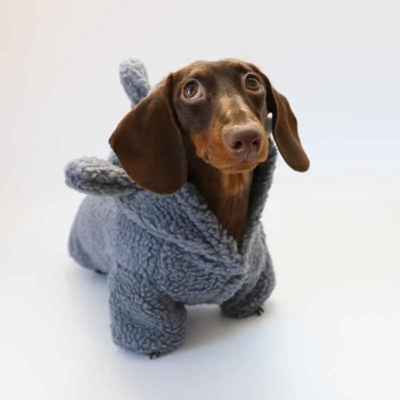 Grey shark fleece-lined hooded pet sweater for small dogs and cats on a plain background