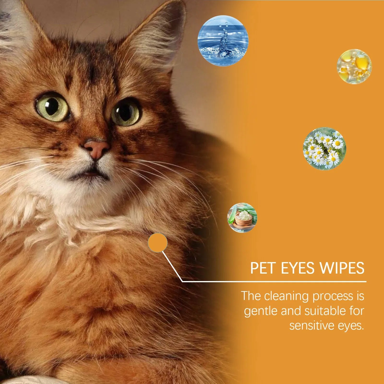 Box of 60 pieces dogs and cats eyes wet wipes for tear stain removal on a white background