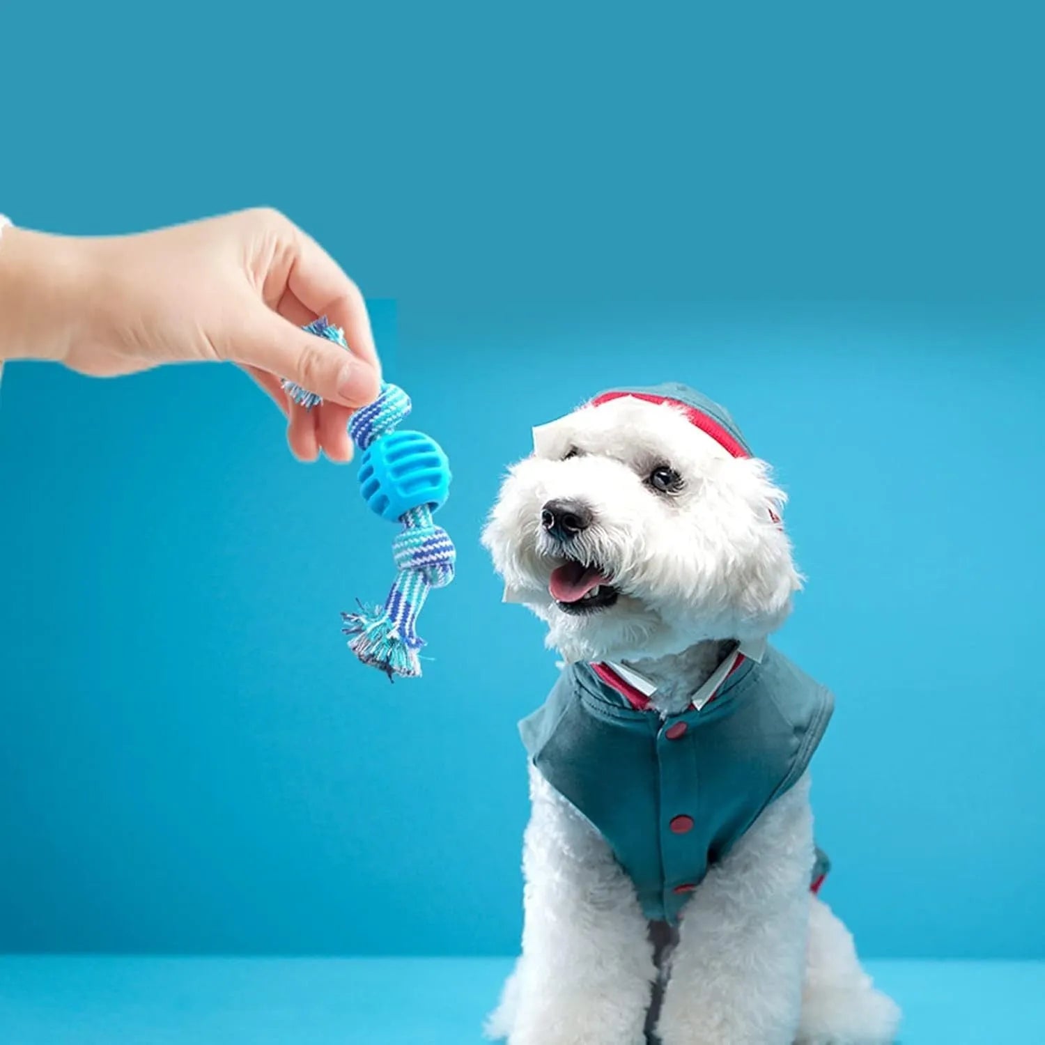 Blue molar-shaped nylon dog chew toy with green rope arms on a white background