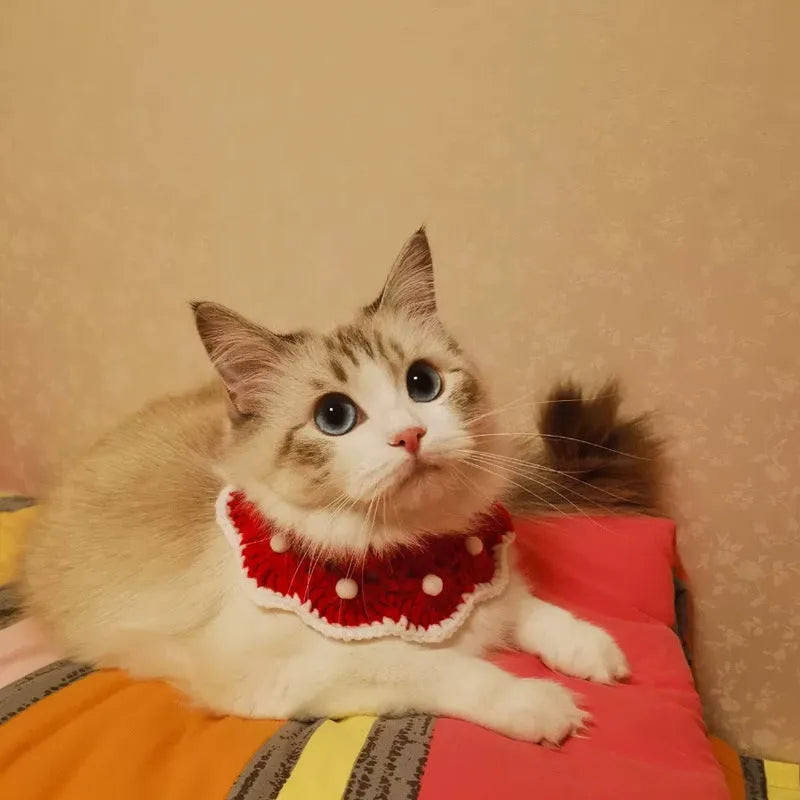Knitted milk cotton pet collar with cartoon pattern, shown in various sizes for cats, dogs, and rabbits.