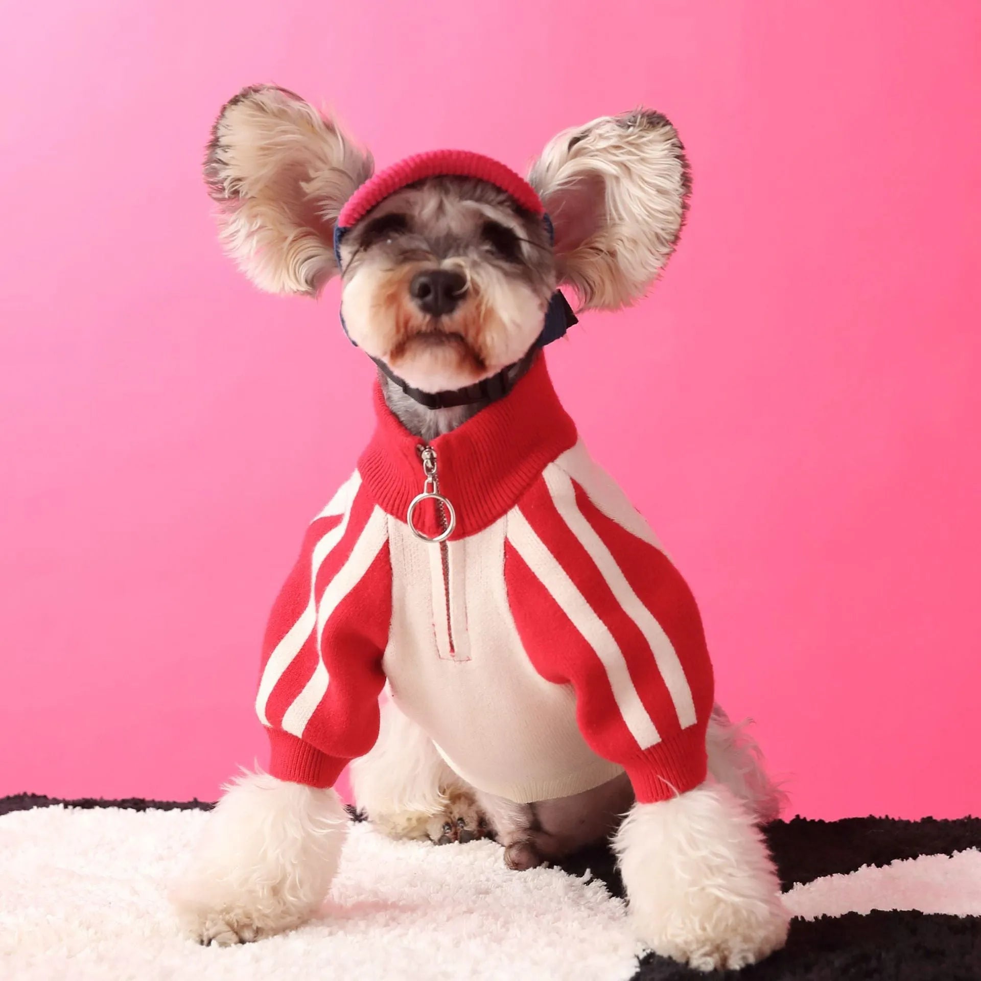 Red wool sports cardigan sweater for dogs on a pet mannequin showing casual pet clothing design