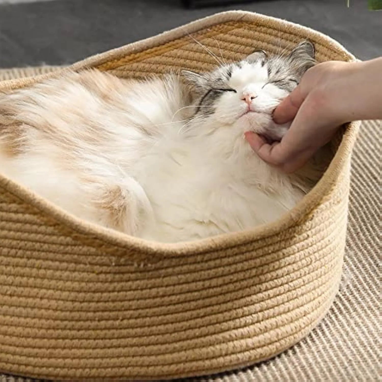 Wicker cat basket bed with integrated corrugated cardboard scratching panel, shown in large and small sizes.
