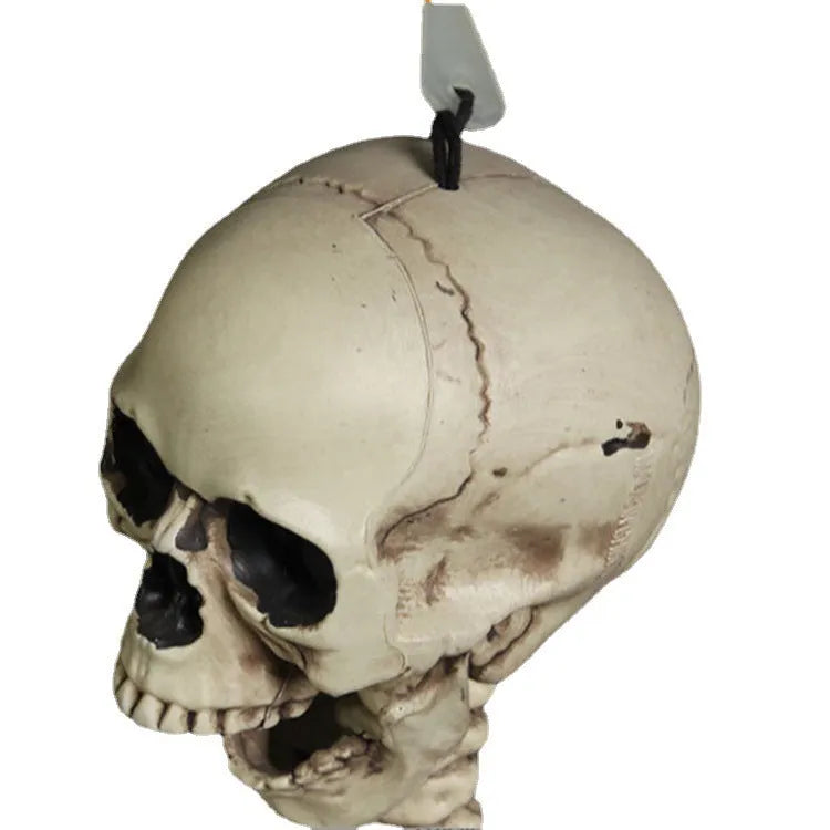 Full-size 170cm tall plastic skeleton prop with detailed skull and bone structure